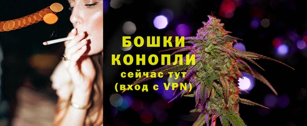 ГАЛЛЮЦИНОГЕННЫЕ ГРИБЫ Струнино