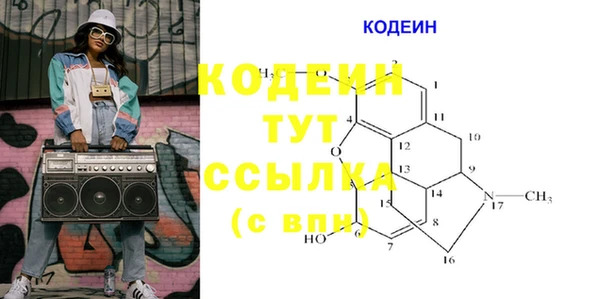 ГАЛЛЮЦИНОГЕННЫЕ ГРИБЫ Струнино