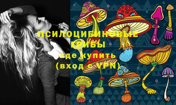 синтетический гашиш Ступино